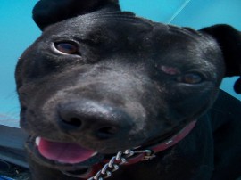 Tyson